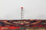 Songhor - Koliai Persian Rug 300x105 - Picture 8