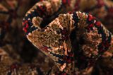 Songhor - Koliai Persian Rug 309x160 - Picture 7