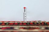 Hosseinabad - Hamadan Persian Rug 330x158 - Picture 8