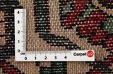 Nahavand - Hamadan Persian Rug 293x163 - Picture 4