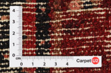Koliai - Kurdi Persian Rug 278x150 - Picture 4