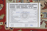 Isfahan Persian Rug 243x163 - Picture 13