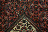 Bijar Persian Rug 248x156 - Picture 6