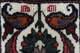 Bakhtiari - Garden Persian Rug 292x175 - Picture 5