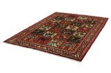 Bakhtiari - Garden Persian Rug 312x207 - Picture 2