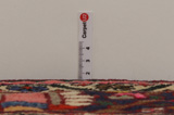 Bakhtiari - Garden Persian Rug 313x208 - Picture 8
