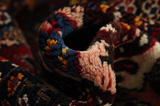 Bakhtiari - Garden Persian Rug 315x213 - Picture 7