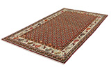 Joshaghan Persian Rug 289x166 - Picture 2