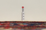 Varamin Persian Rug 300x212 - Picture 8