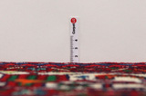 Bijar - Kurdi Persian Rug 317x211 - Picture 8