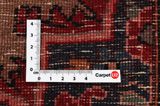 Songhor - Koliai Persian Rug 302x150 - Picture 4