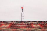 Senneh - Kurdi Persian Rug 360x163 - Picture 8